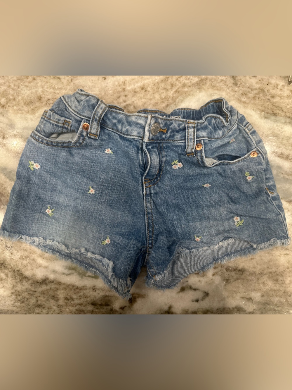 Cat & Jack Blue Denim Floral Embroidered Girls Shorts